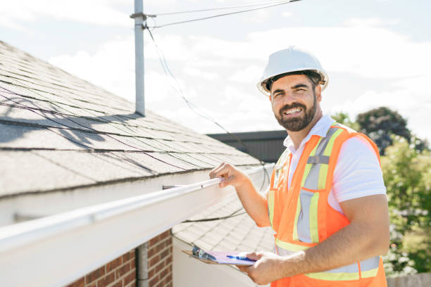 Best Storm Damage Roof Repair  in Palmview, TX