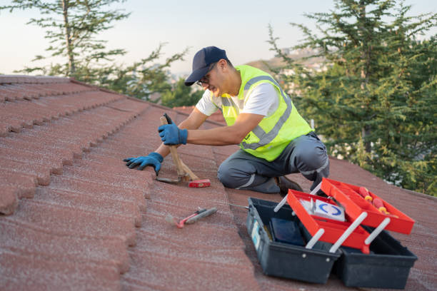 Best Storm Damage Roof Repair  in Palmview, TX