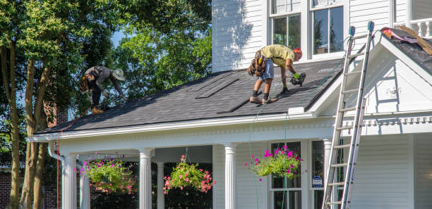 Professional Roofing Contractor in Palmview, TX